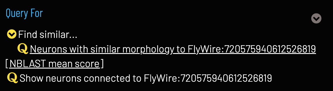 NBLAST query in Term Info pane.